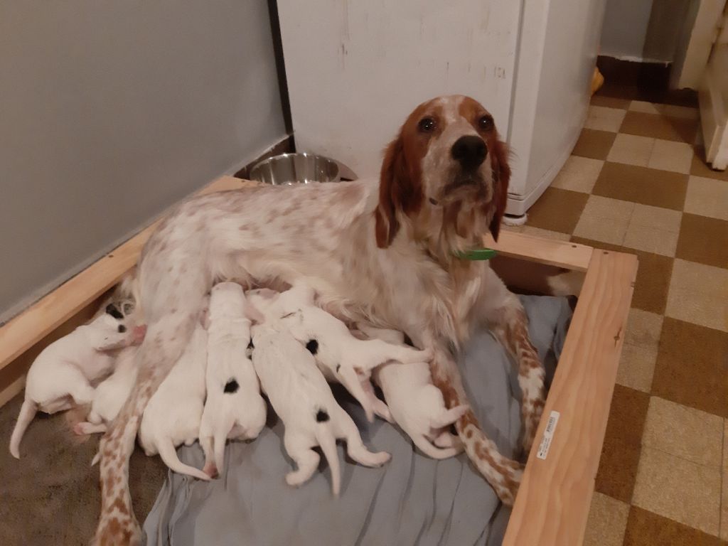 Naissance 